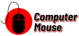 Computer Mouse